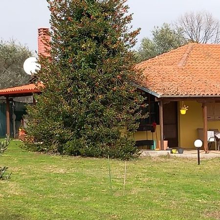 里托楚伦Olympos House别墅 外观 照片